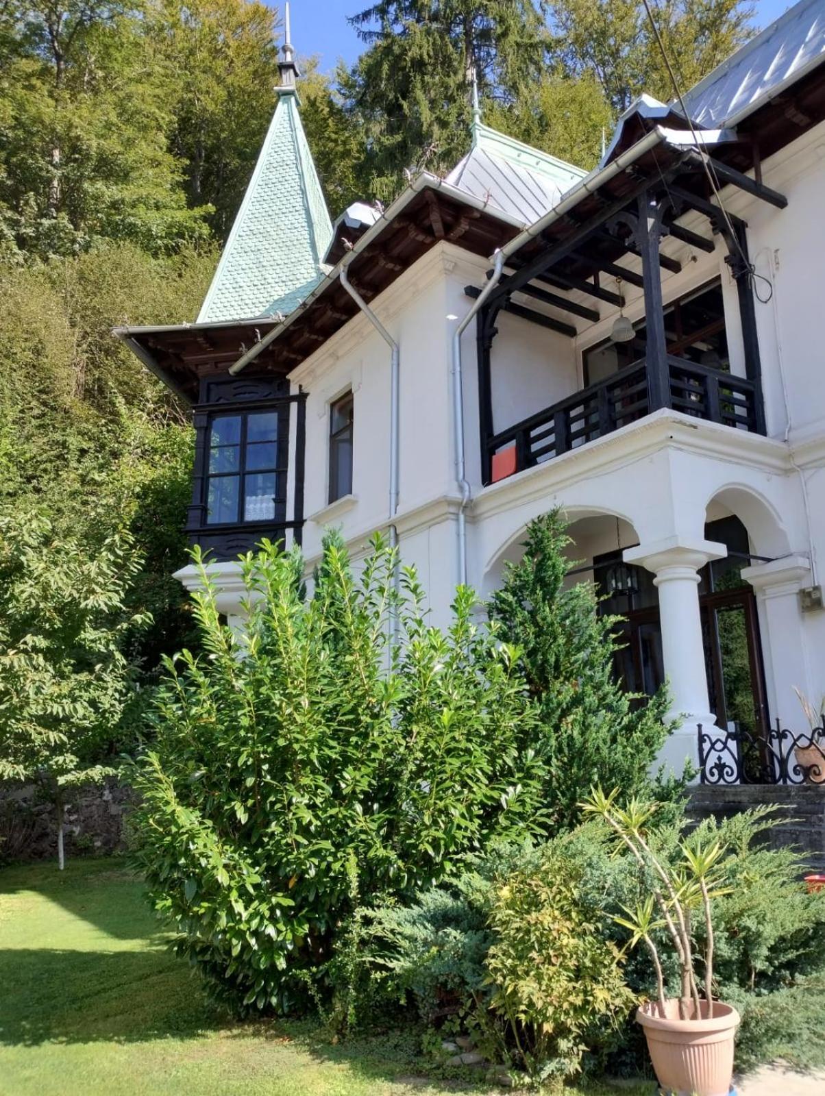 Il Piccolo Castello Буштени Экстерьер фото